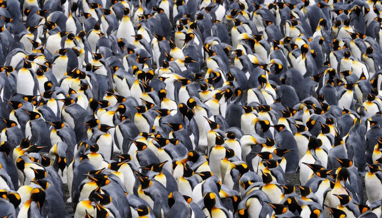 Verwarmings- en ventilatietechniek woningbouw